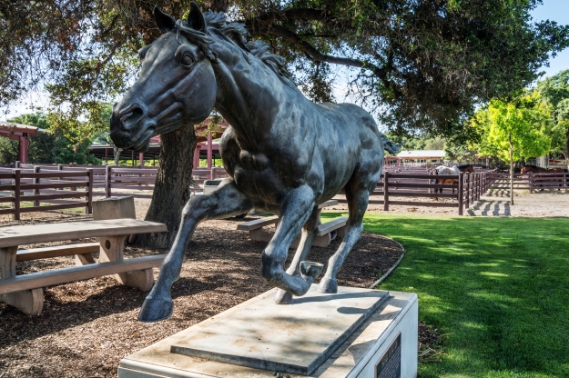"Horse in Motion", honoring Eadweard Muybridge work at the Farm